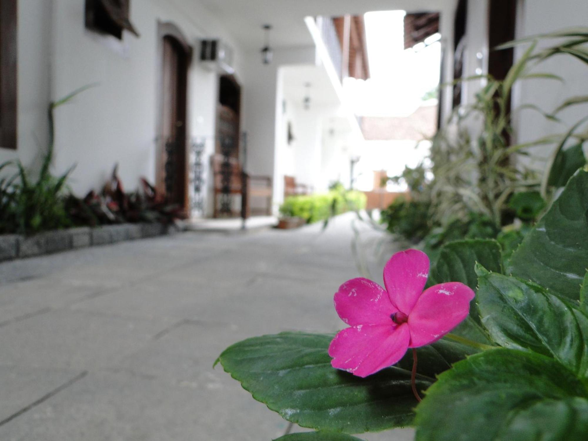 Pousada Doce Araquari Exterior foto